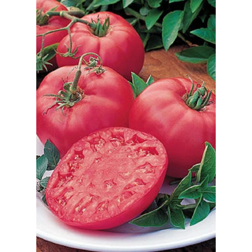 POMIDORŲ DAIGAI FAWORYT