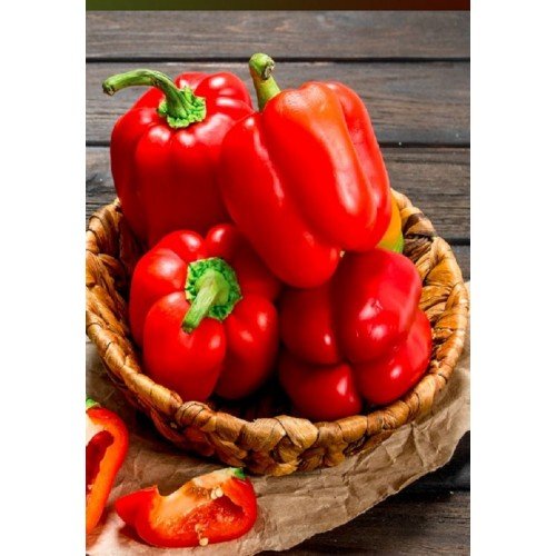 PAPRIKŲ DAIGAI SOLARIO F1