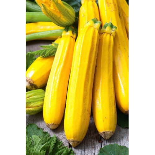 GELTONŲ CUKINIJŲ DAIGAI...