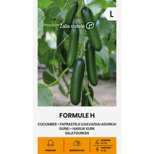 PAPRASTIEJI ILGAVAISIAI AGURKAI FORMULE H-Agurkai-Daržovių