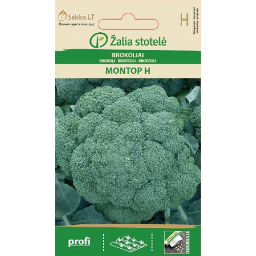 BROKOLIAI MONTOP H-Brokoliai-Kopūstinės daržovės